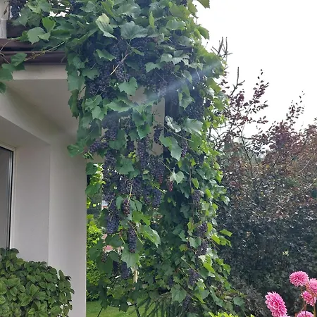 Relaks Xxl Appartement